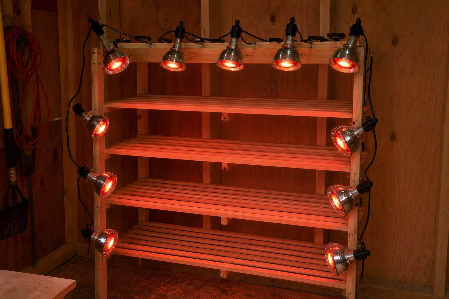 Shoe rack with ten clamp lamps and NIR bulbs in a shed, showing the budget-friendly DIY build.